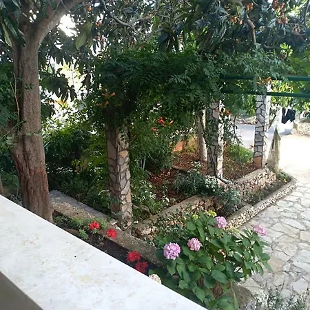 Apartment Zmiric